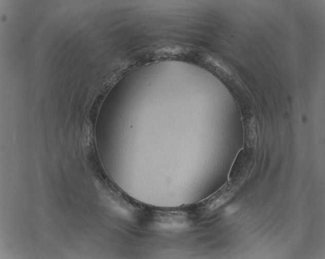 X0000077390463200611032006