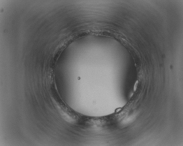 X0000077390464200611032006