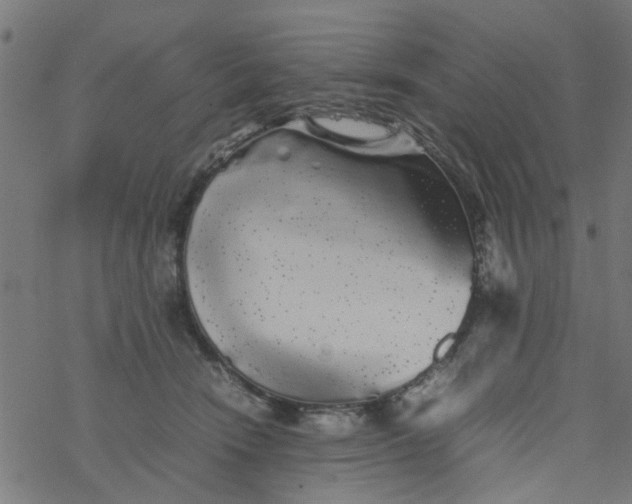 X0000077390466200611032006