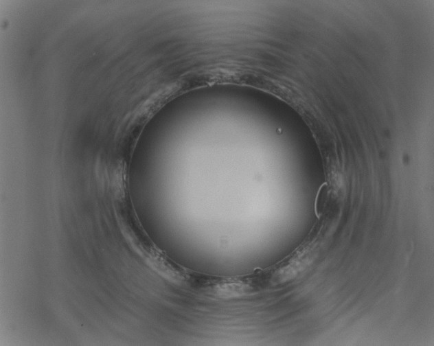 X0000077390468200611032006