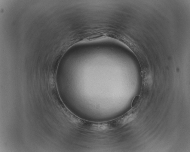 X0000077390469200611032006