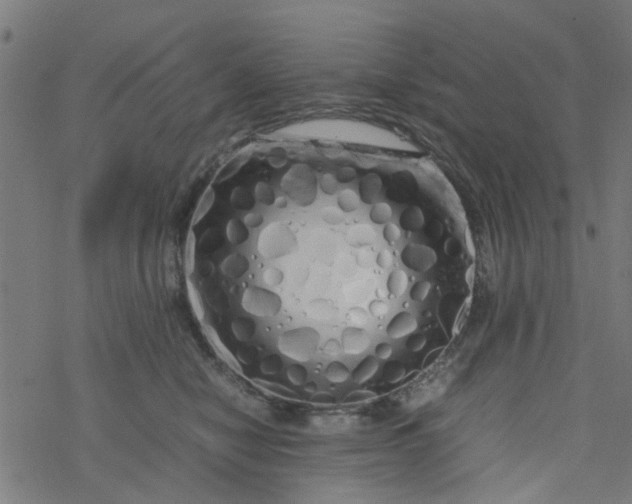 X0000077390470200611032006