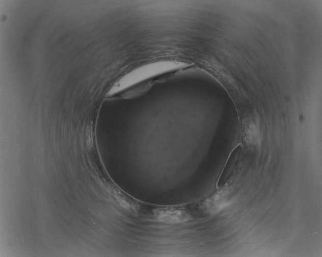 X0000077390471200611032006