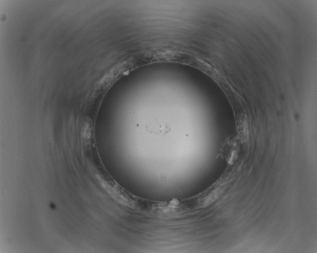 X0000077390472200611032006