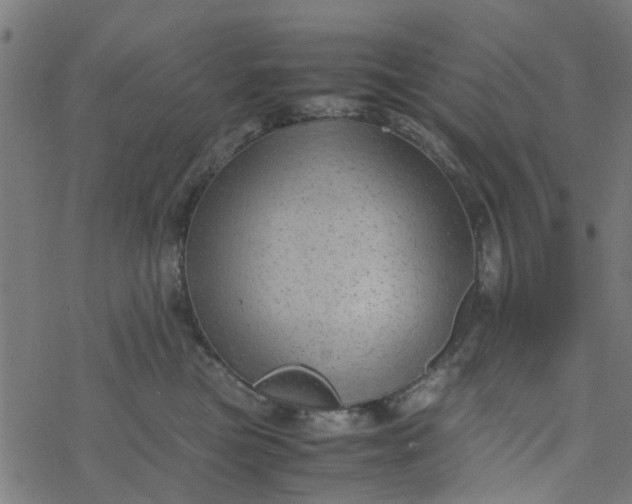 X0000077390473200611032006