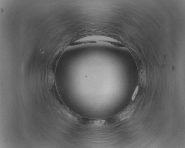 X0000077390474200611032006