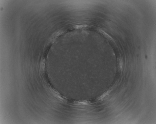 X0000077390475200611032006