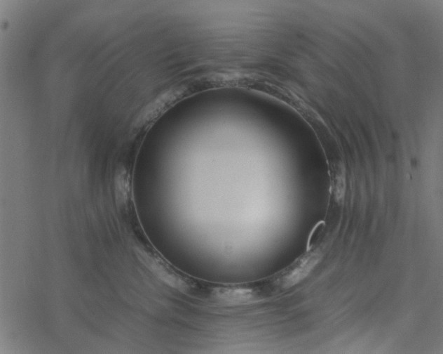 X0000077390476200611032006