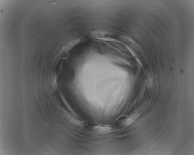 X0000077390477200611032006