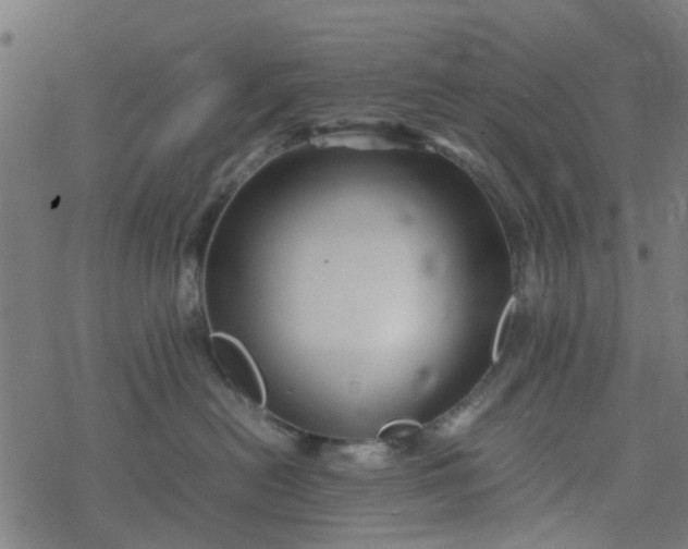 X0000077390478200611032006