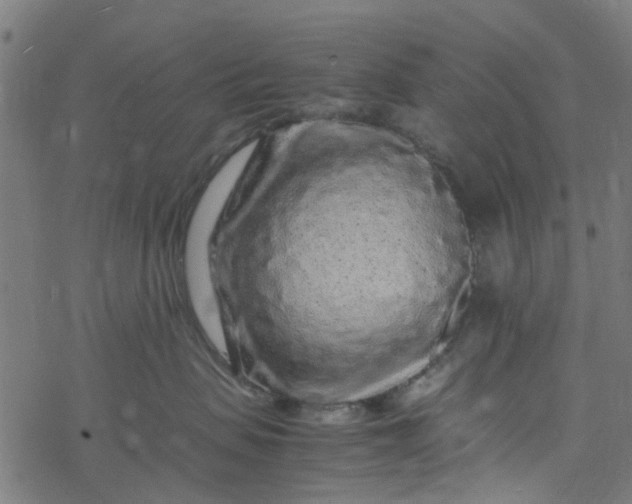 X0000077390479200611032006