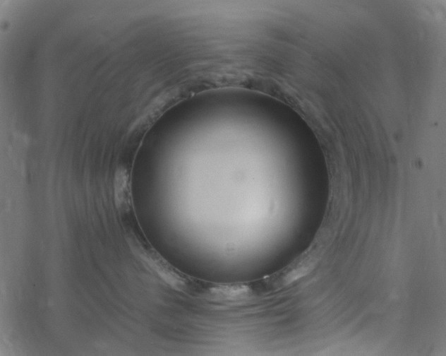 X0000077390480200611032006