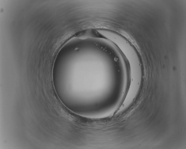 X0000077390481200611032005