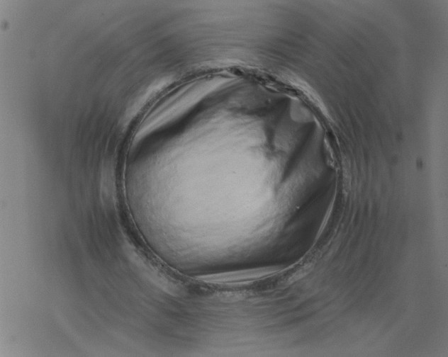 X0000077390482200611032005