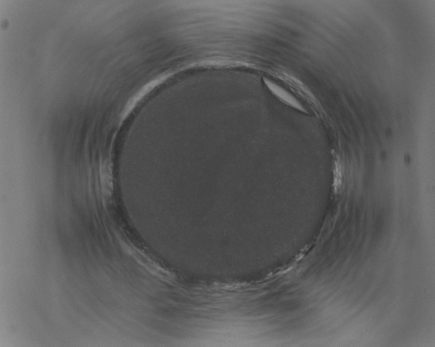 X0000077390484200611032005