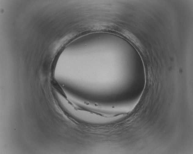 X0000077390485200611032005