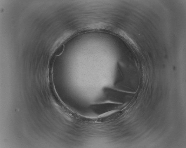 X0000077390486200611032005