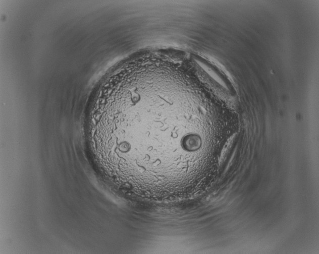 X0000077390487200611032005