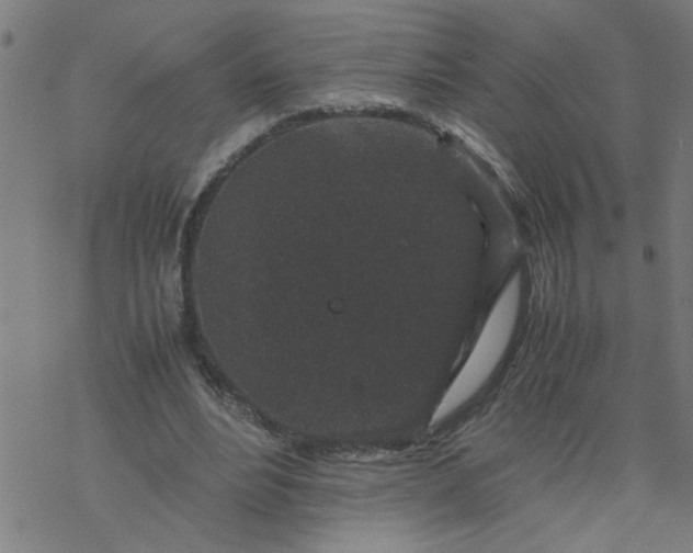 X0000077390488200611032005