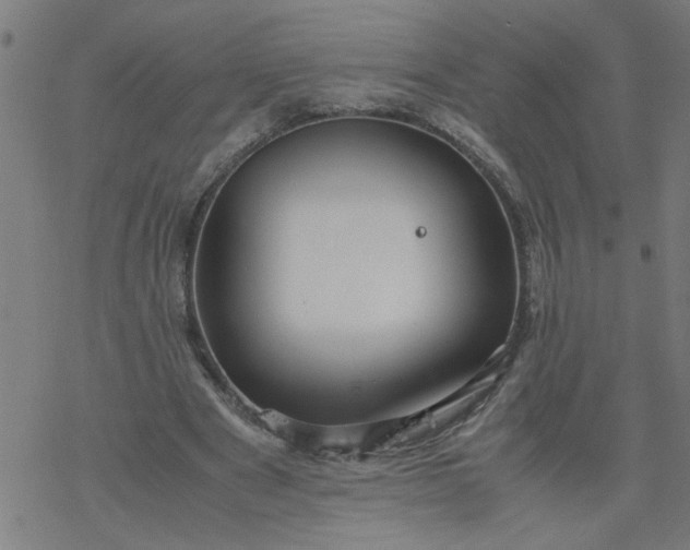 X0000077390489200611032005