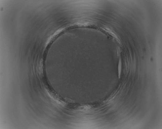 X0000077390492200611032005