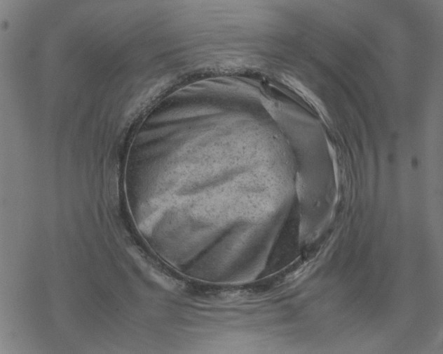 X0000077390493200611032005