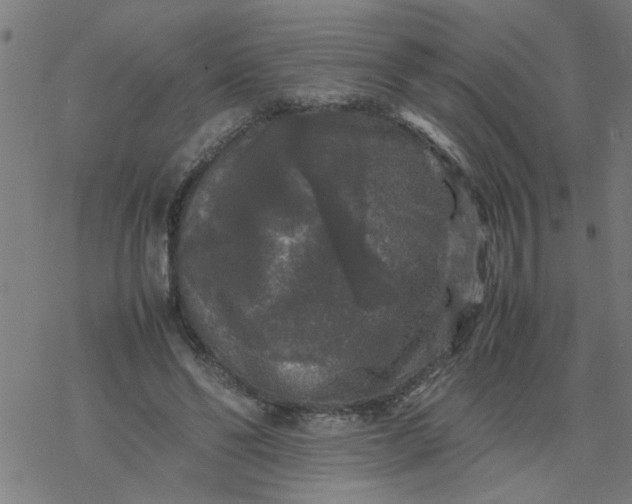 X0000077390494200611032005