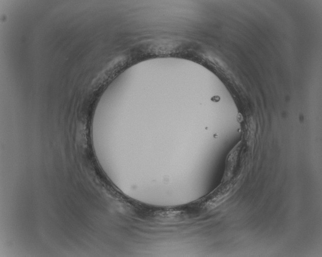 X0000077390497200611032005