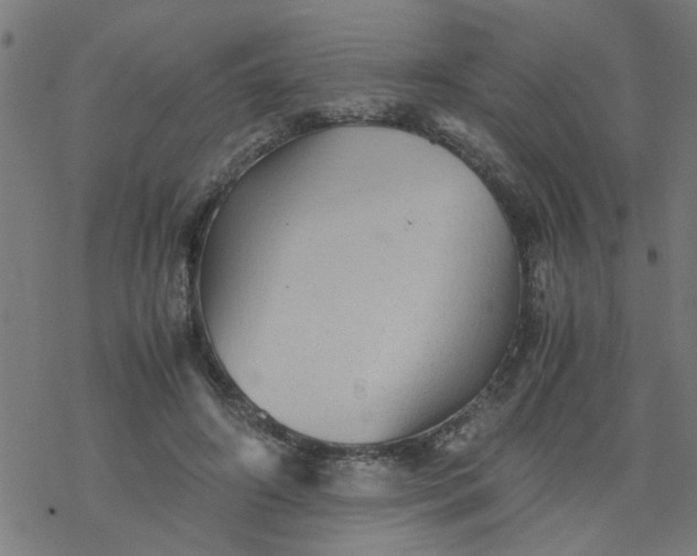 X0000077390498200611032005