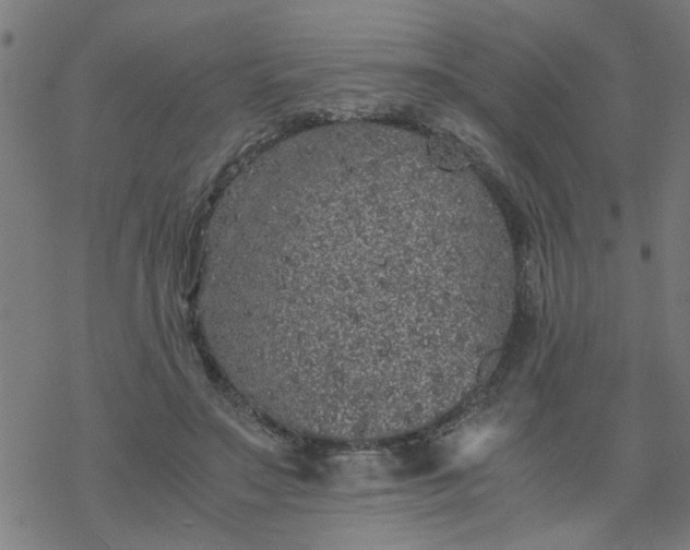 X0000077390499200611032005