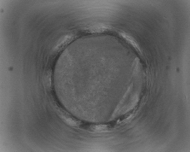 X0000077390501200611032005