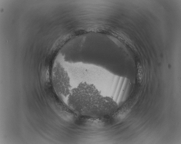 X0000077390502200611032005