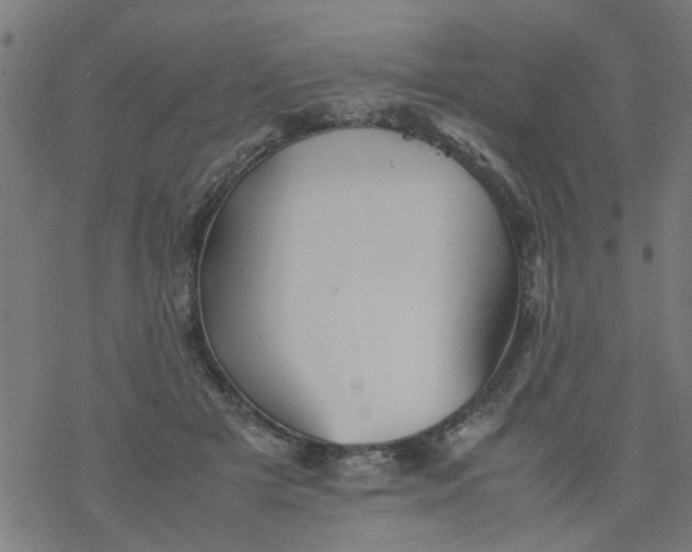 X0000077390505200611032005