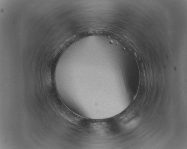 X0000077390508200611032005