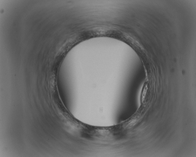 X0000077390509200611032005