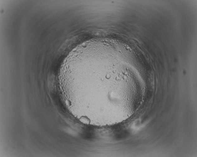 X0000077390511200611032005