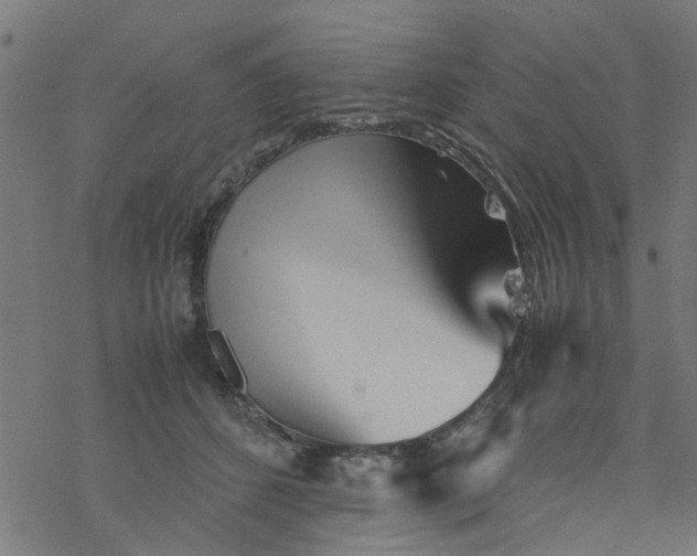 X0000077390512200611032005