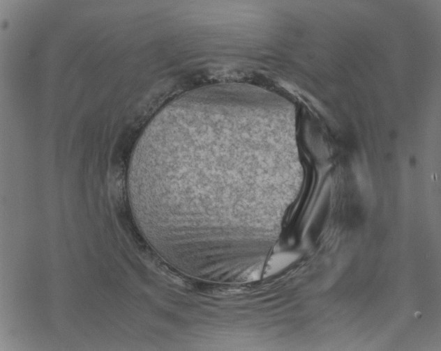 X0000077390513200611032005