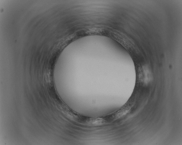 X0000077390514200611032005