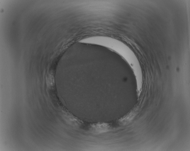 X0000077390517200611032005