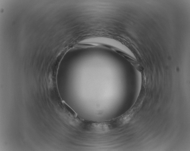 X0000077390520200611032005