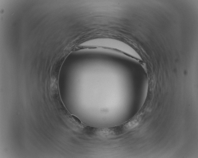 X0000077390521200611032005