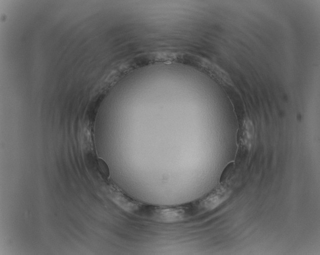 X0000077390522200611032005