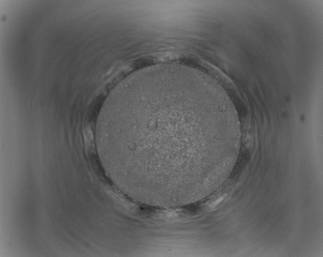 X0000077390523200611032005