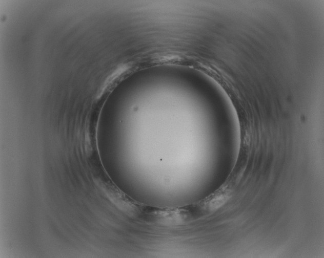 X0000077390524200611032004