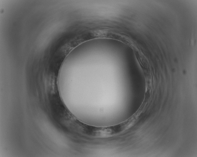 X0000077390525200611032004