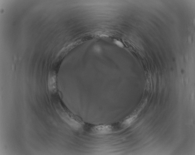 X0000077390526200611032004