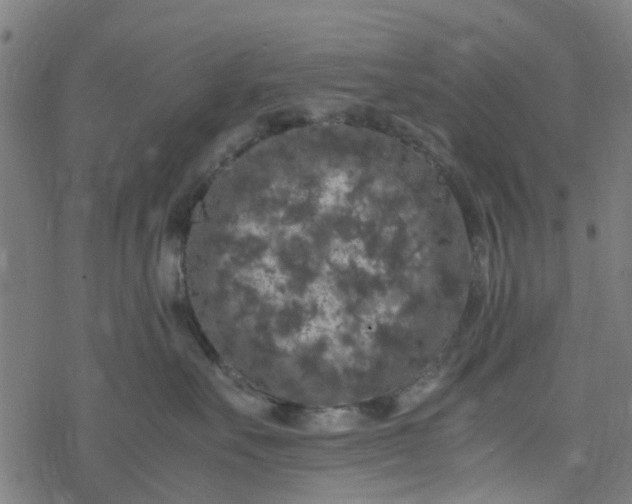 X0000077390527200611032004