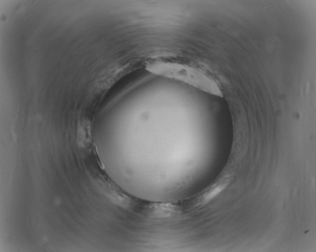 X0000077390528200611032004