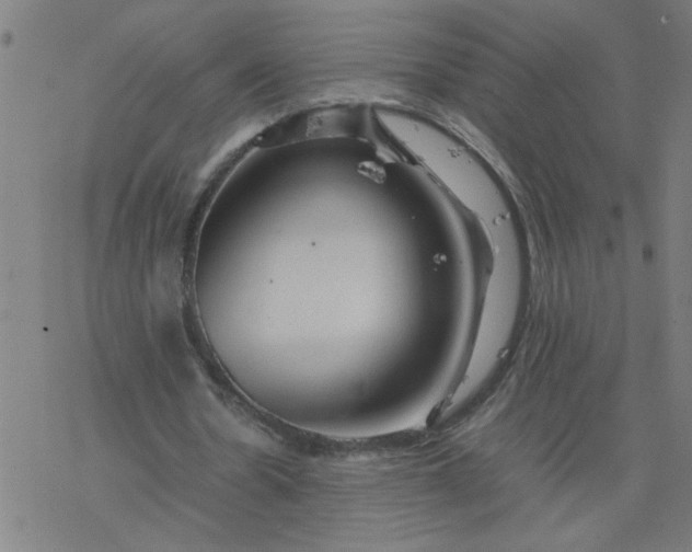 X0000077390530200611032004